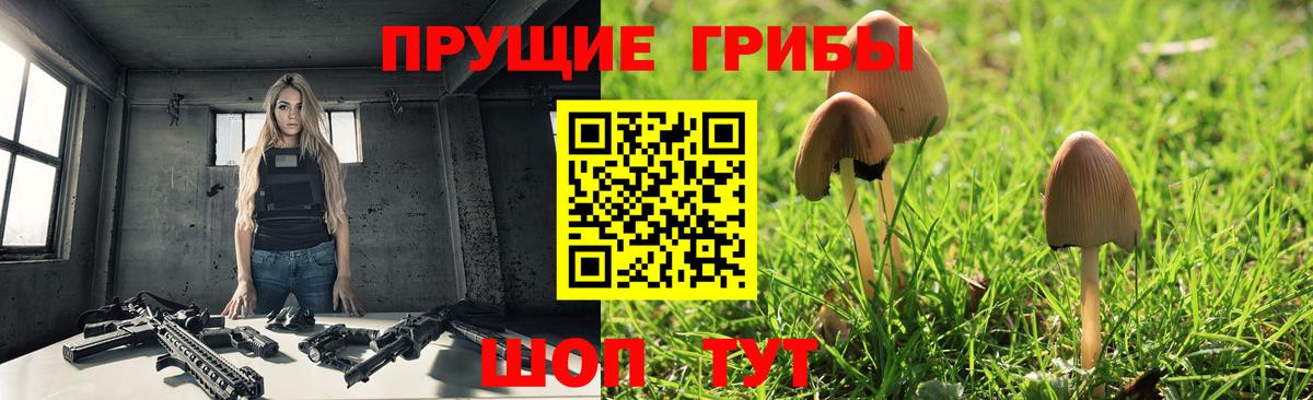Галлюциногенные грибы ЛСД  где можно купить наркотик  Галлюциногенные грибы мухоморы  Городец  Вход с VPN 